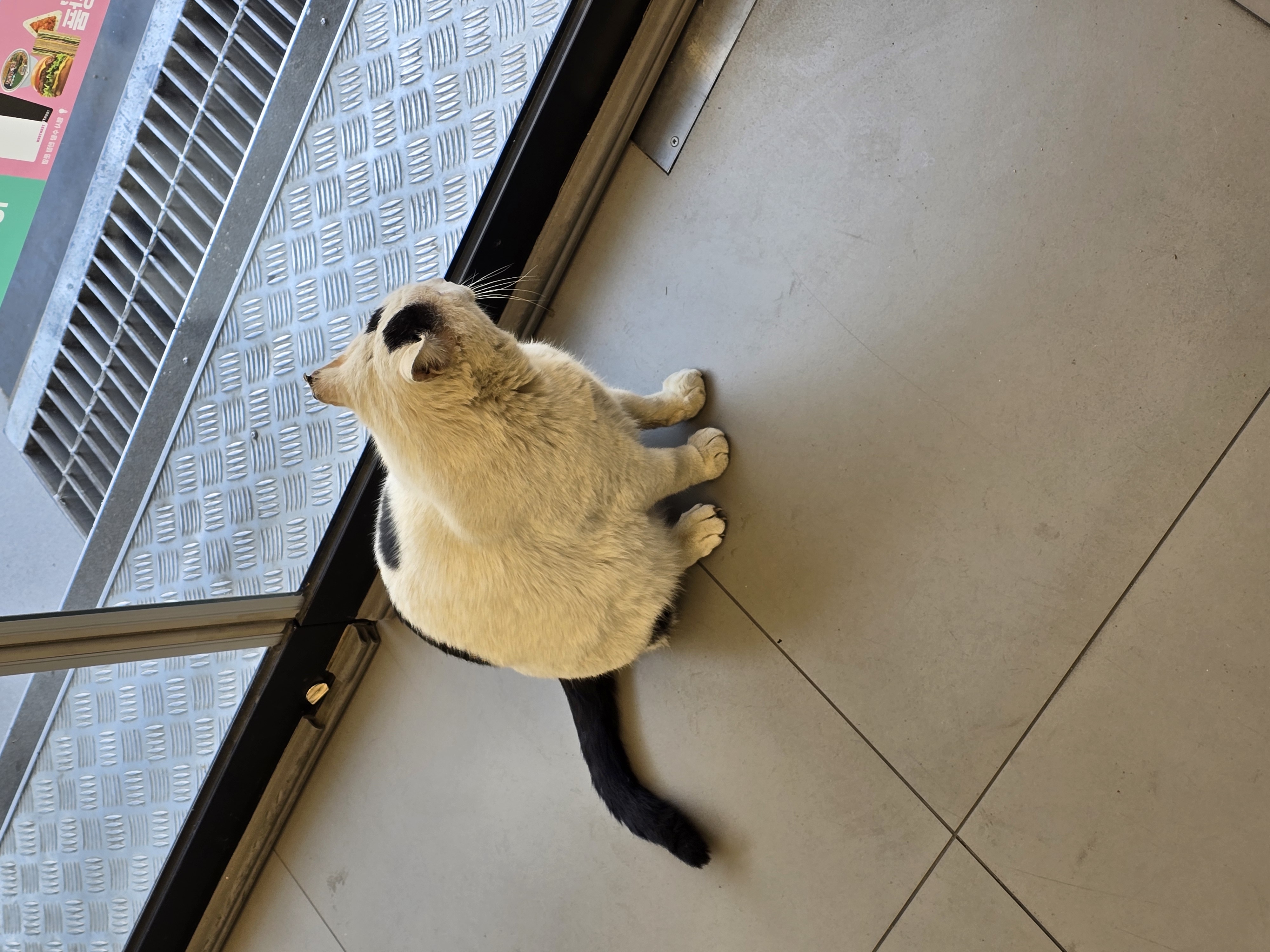 20250409_173406.jpg